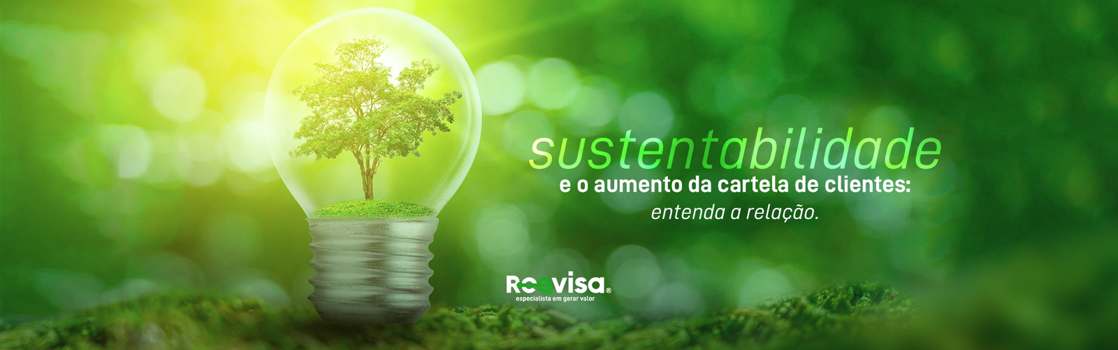 Empresas Sustentáveis E Aumento De Clientes: Saiba A Relação